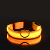 GlowPup™ | Säkerhet i mörkret
