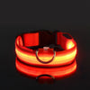 GlowPup™ | Säkerhet i mörkret