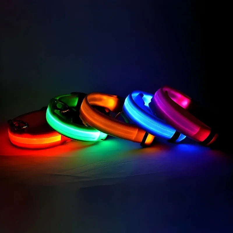 GlowPup™ | Säkerhet i mörkret